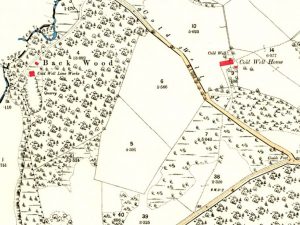 Early Ordnance Survey maps of Coldwell
